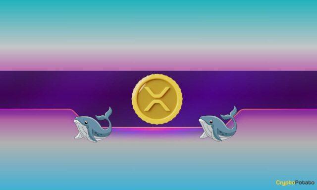 Ripple (XRP) Price Rockets to 2-Month High After Curious Whale Activity