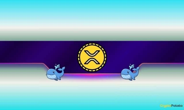 900,000,000 XRP Bought in a Month: What Do Ripple Whales Know?